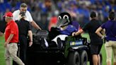 Baltimore Ravens mascot Poe carted off after suffering injury during halftime game