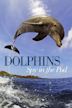 Dolphins: Spy in the Pod