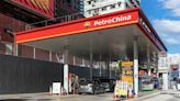 JPM Hikes PETROCHINA TP to $10; Energy Saving & Carbon Reduction Program Favors CN Natural Gas Industry