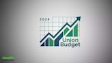 Union Budget 2024: How to rejig your MF portfolio after change in tax structure