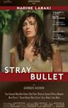 Stray Bullet (2010 film)