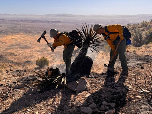 Red Rock Canyon fire now contained, BLM says