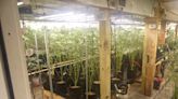 Police warrant provides glimpse of Jay marijuana grow operation