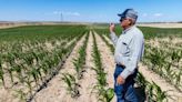 Idaho is losing a farm a day. Farmers are aging. How will we feed a growing population?