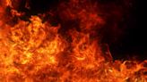 ‘Toyo Fire’ burns roughly 1,000 acres near San Carlos