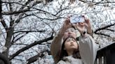 Tokyo is launching a dating app where users have to verify their income and promise they want to get married, as Japan fights tumbling birth rates