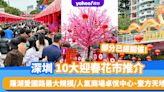 深圳花市2024｜10大迎春花市推介！部分年宵已經開催 羅湖愛國路最大規模/卓悅中心、壹方天地人氣商場之選