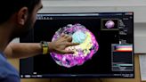 Israeli scientists create model of human embryo without eggs or sperm