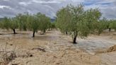 Las trombas de agua y el granizo anegan cultivos y desvían trenes