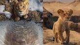 'Mufasa: El Rey León' revela el primer adelanto de la precuela de live-action y su fecha de estreno