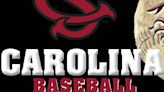 CAROLINA BASEBALL: Bulldogs down Gamecocks, 14-6