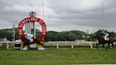 Karnataka High Court restrains Bangalore Turf Club's horse racing and betting activities - CNBC TV18