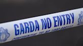 Laois gardaí searching for young man in connection with burglary