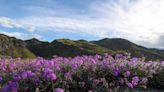 Rainy season runs dry in the Coachella Valley as winter and spring see low precipitation