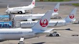 ‘The middle seat was the toughest’: Japan Airlines adds extra flight to carry heavy sumo wrestlers
