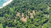 Fiscalía denuncia ilícito cambio de uso de suelos protegidos en Caribe Sur