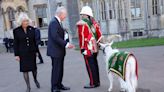 Fact check: Image shows Welsh military mascot, not white ram to be sacrificed for King Charles III