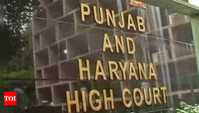 HC asks Haryana to remove barricades at Shambhu border within seven days | India News - Times of India