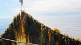 Researchers looking into growing kelp for food in Atlantic Canada