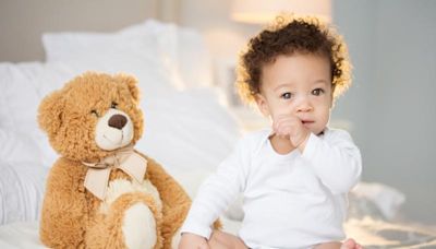 150+ Teddy Bear Names to Match Your Favorite Fluff