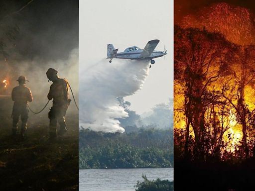 Entenda o porquê do fogo no Pantanal e como eventos climáticos intensificam as chamas neste ano