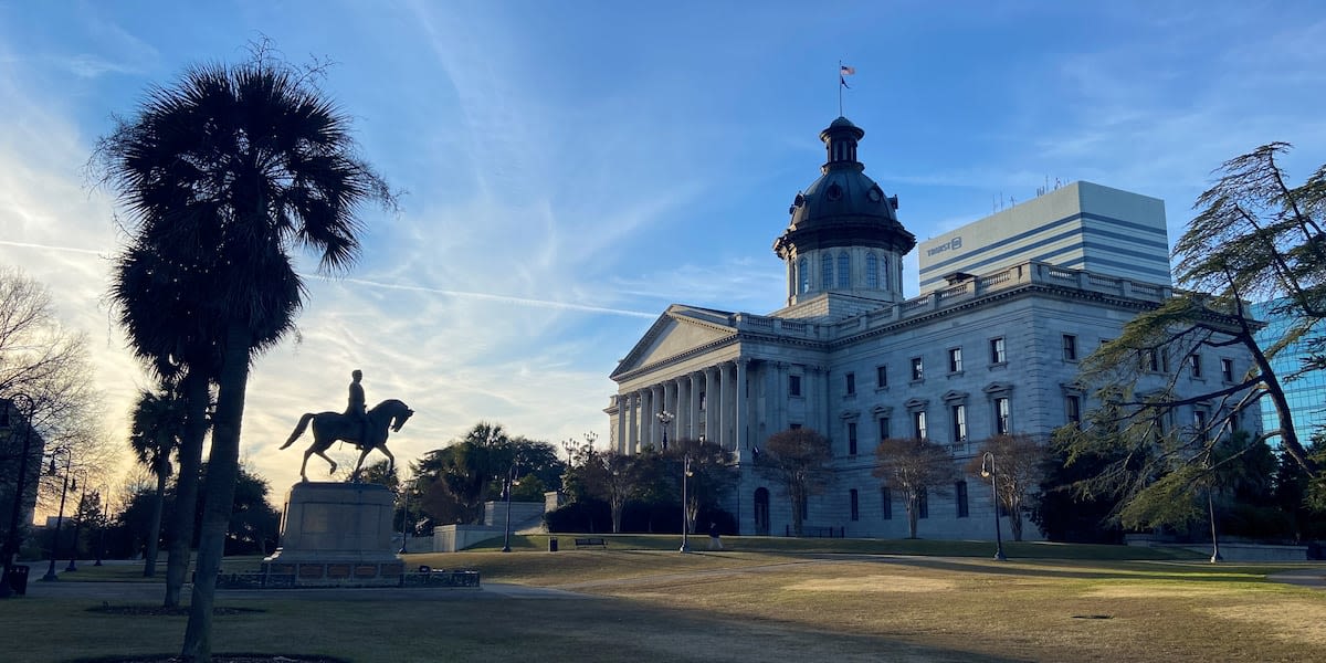 Could SC’s health agency merger bill be revived, or will it have to wait until 2025?