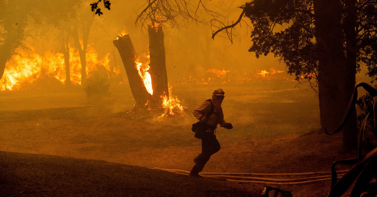 California Reports First Wildfire Death of the 2024 Season