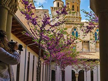 15 rutas por la España más rural que suenan diferentes