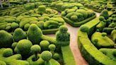 8 Beautiful Gardens in France You Have to See for Yourself