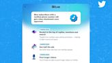Twitter將恢復推出Twitter Blue訂閱服務，iOS裝置訂閱費用確定調漲