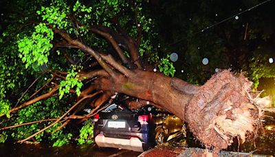 Downpour brings Bengaluru to screechy halt on Sunday