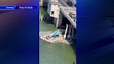 FDOT crews inspect 79th Street Bridge after barge bumps pillar - WSVN 7News | Miami News, Weather, Sports | Fort Lauderdale