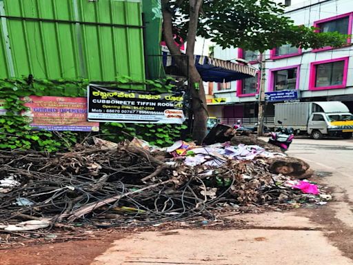 Wooden logs not cleared by BBMP amidst heavy rains