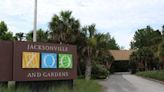 Jacksonville Zoo and Gardens implement enhanced security measures behind the scenes for bear exhibit