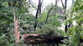 2-year-old boy killed as surprise tornado strikes suburban Detroit
