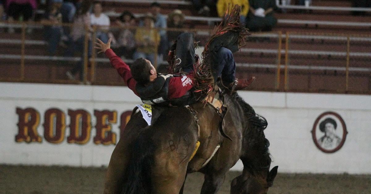 Two-time Buffalo Bill Rodeo winner Garrett Shadbolt makes his return to Wild West Arena