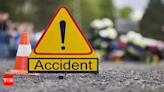 Andhra Pradesh student dies in road accident in US - Times of India