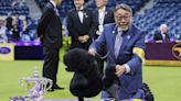 Miniature poodle named wins Westminster Kennel Club dog show