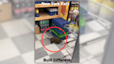 Fact Check: The Truth About That 'Giant Rat' Supposedly Caught on Film in New York City Bodega