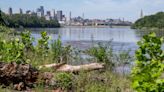 Once toxic, this huge riverfront park is ‘potential gem’ Kansas City has largely ignored