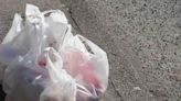 In Just First Year of State's Ban on Plastic Bags, 1.5 Billion Fewer Have Been Used