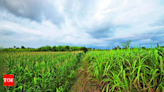 Despite monsoon deficit, Kharif acreage up 32% in June, driven by pulses & oilseeds | India News - Times of India