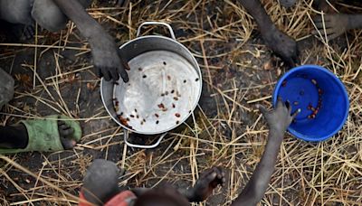 Large Sudan displaced people camp in famine