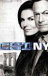 CSI: NY