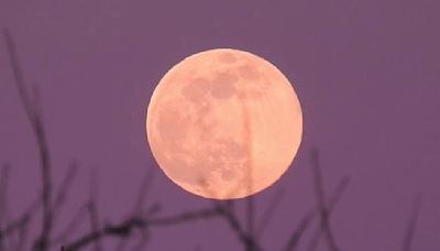 Look up tonight for the Full Pink Moon