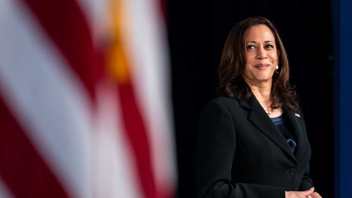 Democrats plan to push ahead with virtual roll call ahead of their convention, with Harris favored