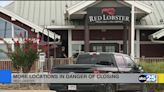 More Red Lobster locations in danger of closing - ABC Columbia