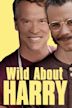 Wild About Harry (2009 film)