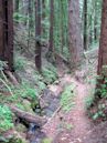 Ben Lomond, California