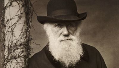 El origen de las especies, según Charles Darwin: así se desarrollaron los animales, según el naturalista inglés llamado "el padre de la evolución"